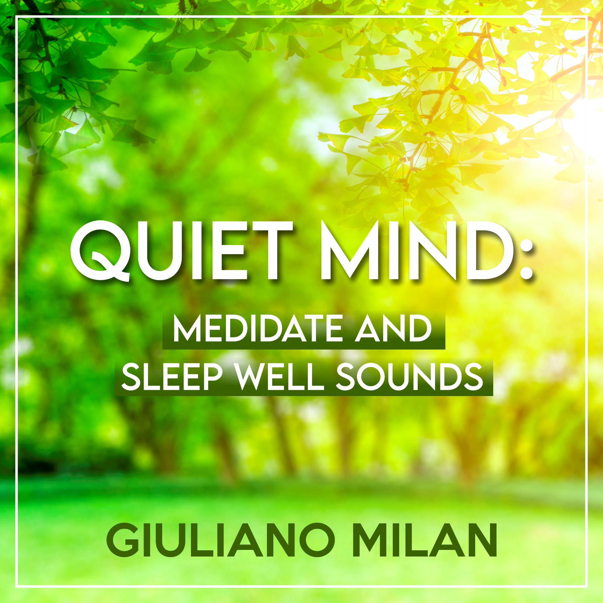 Capa do álbum Positive Mind Meditation