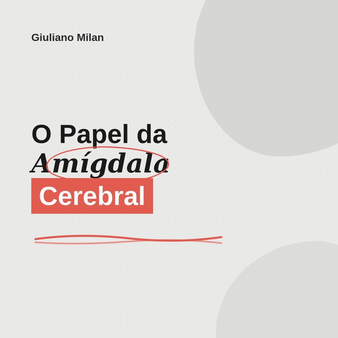 O Papel da Amígdala Cerebral
